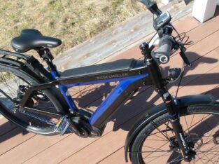 Fahrrad Riese & Müller Supercharger GH Nuvinci