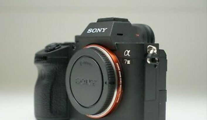 Sony A7 Mark III (Alpha ILCE 7 m³), ​​UK-Modell, Low Shots