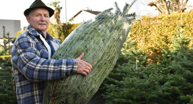 Hochwertige Weihnachtsbäume zu fairen Preisen – Nachhaltig produziert und direkt vor Ort kaufen – Aus dem Schweizer Wald
