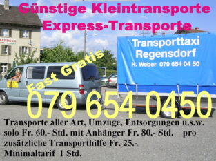 Billig Kleintransporte Warentaxi Transporttaxi  Kt. Zürich