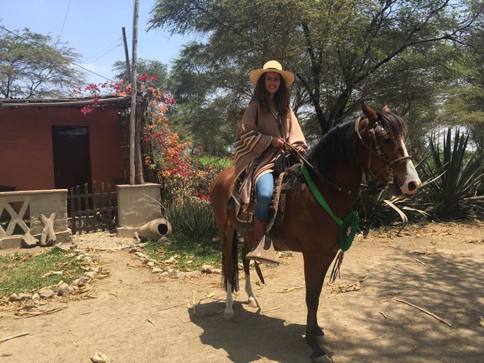Reiterferien auf Peruanischen Pasopferden in Peru